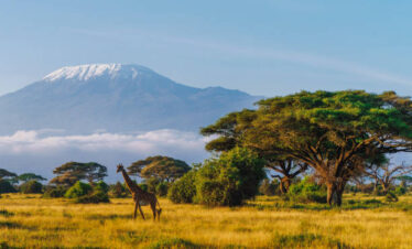 Kenya Safari Adventure – Amboseli, Naivasha & Masai Mara (7 Days / 6 Nights)